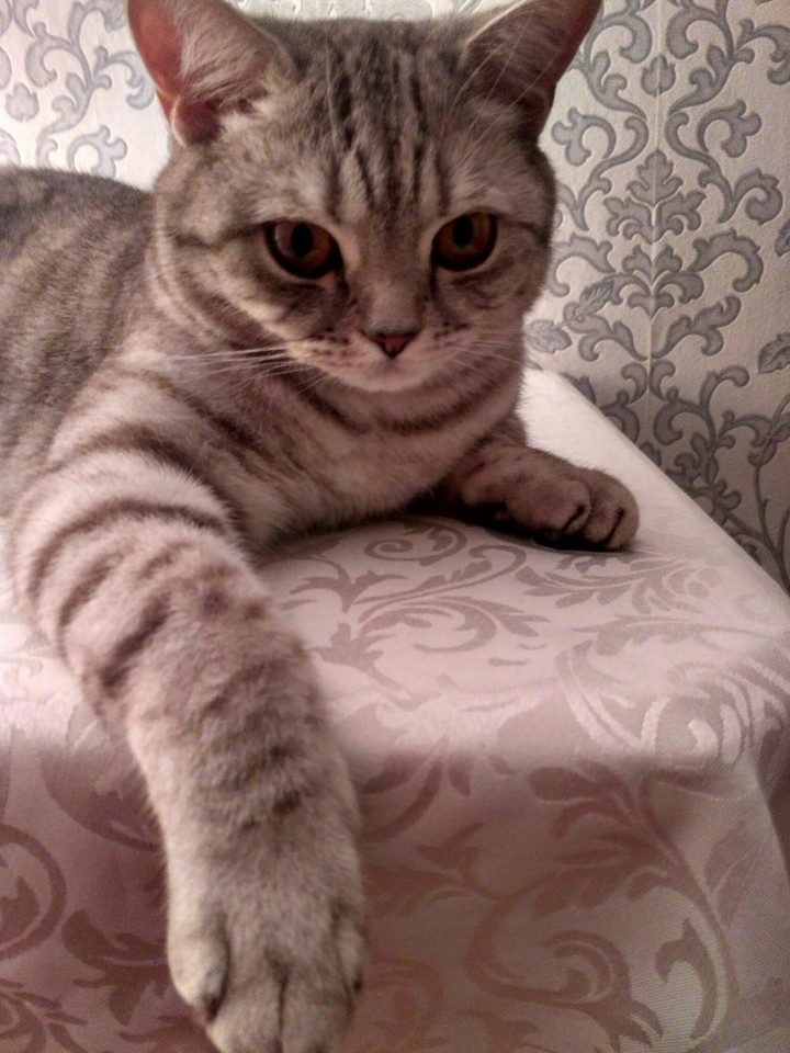 Джемик
