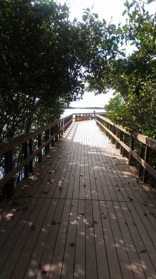 pier
