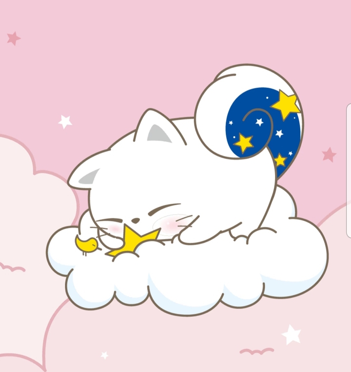 별 냥이