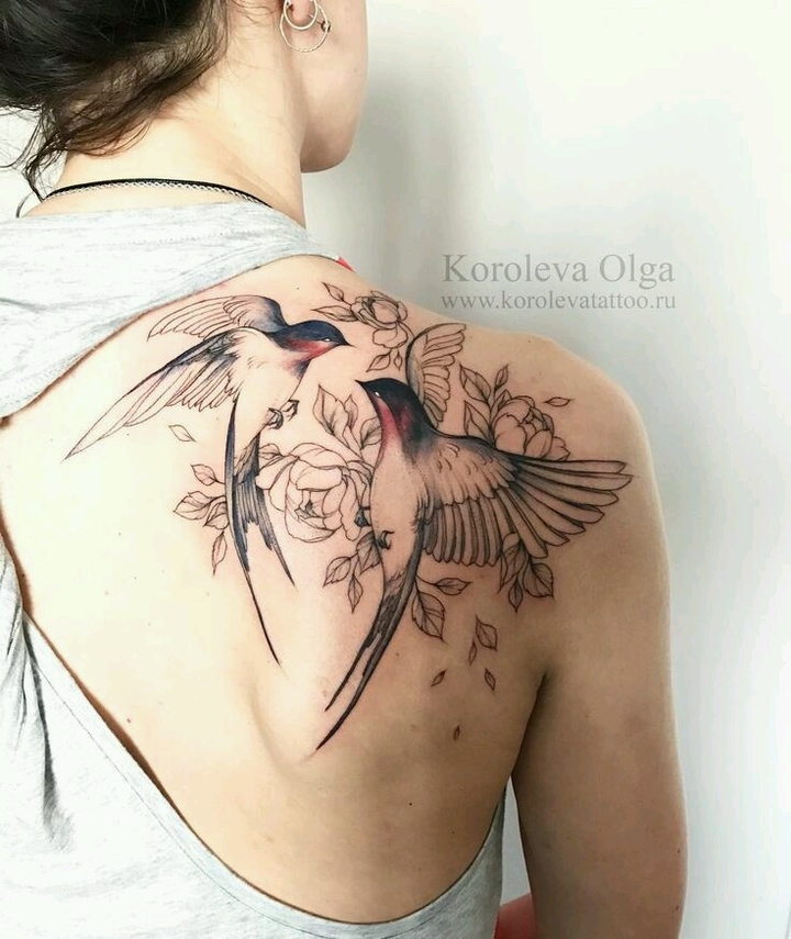 birds