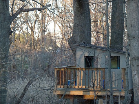 My treehouse