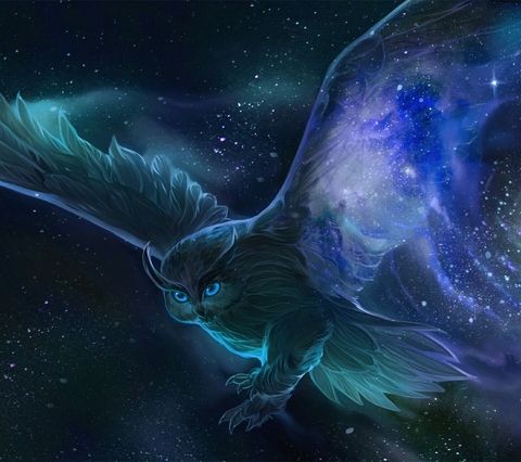 universe, biology háttérképek