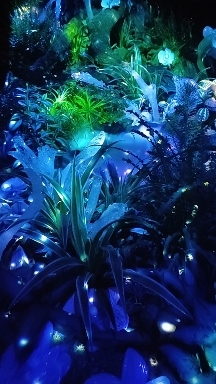 PK Crystal garden Troja