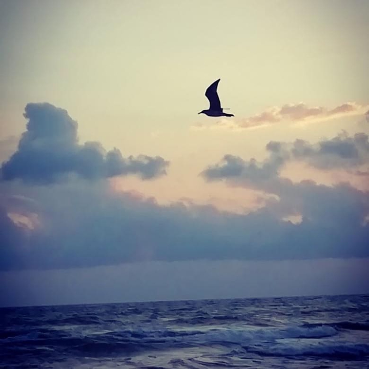 sea