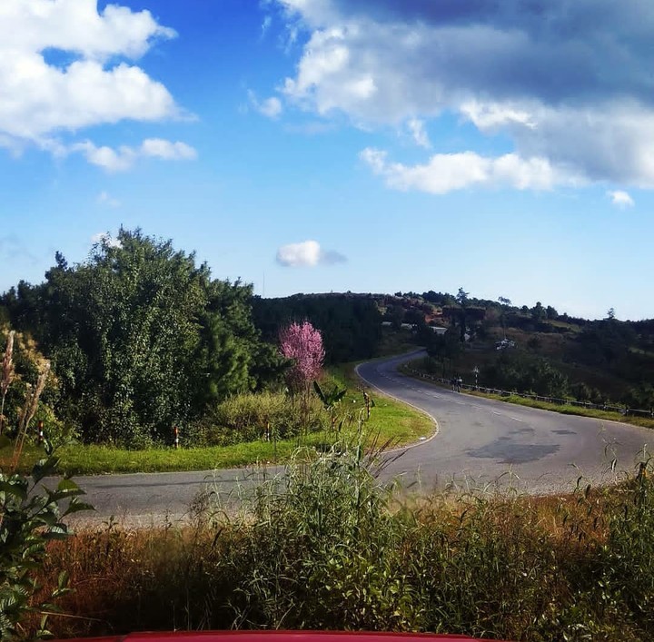 The ROAD