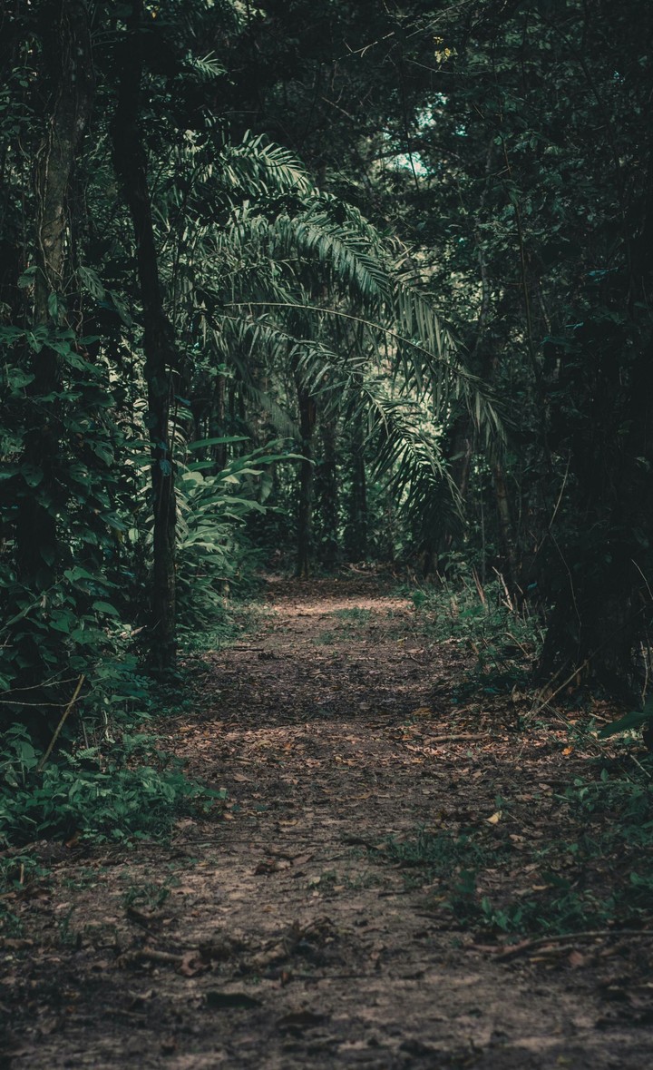 nature