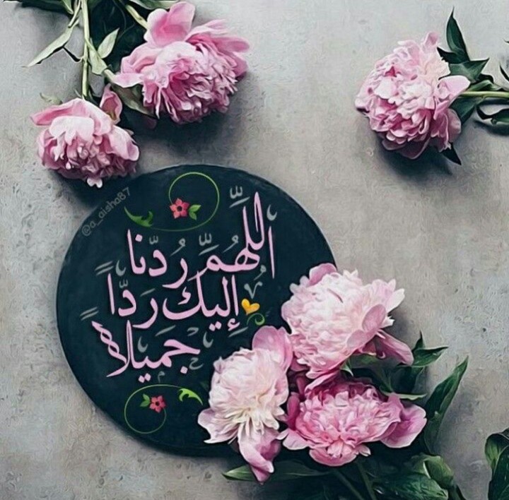 ربي رضاک عني اعظم الحاجات