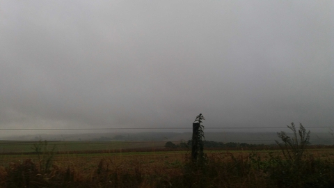 neblina