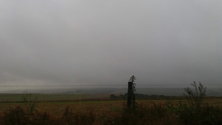 neblina