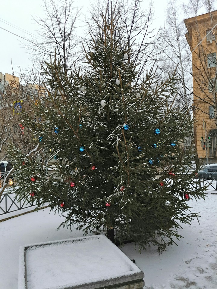 Елка