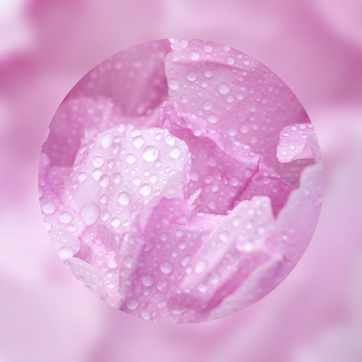 Drops