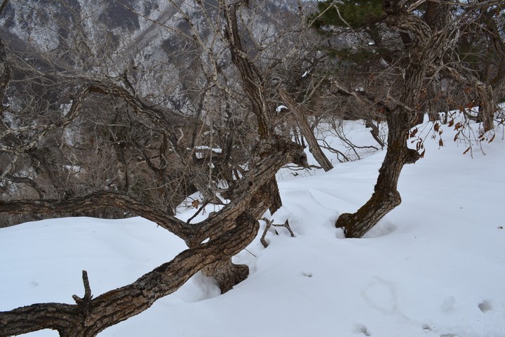 풍경이미지