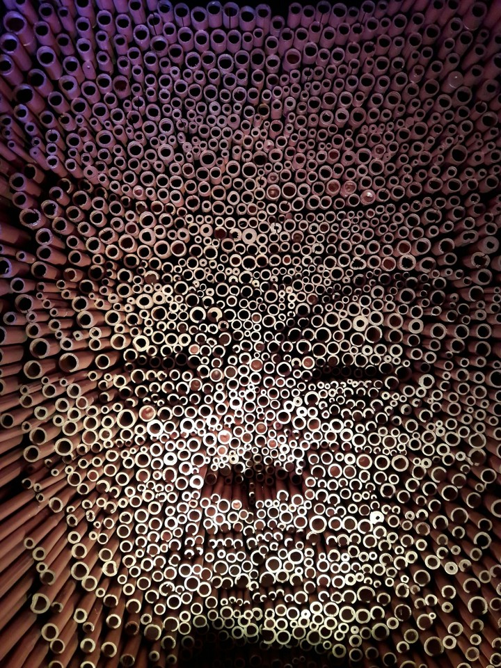 a creation by using bamboo