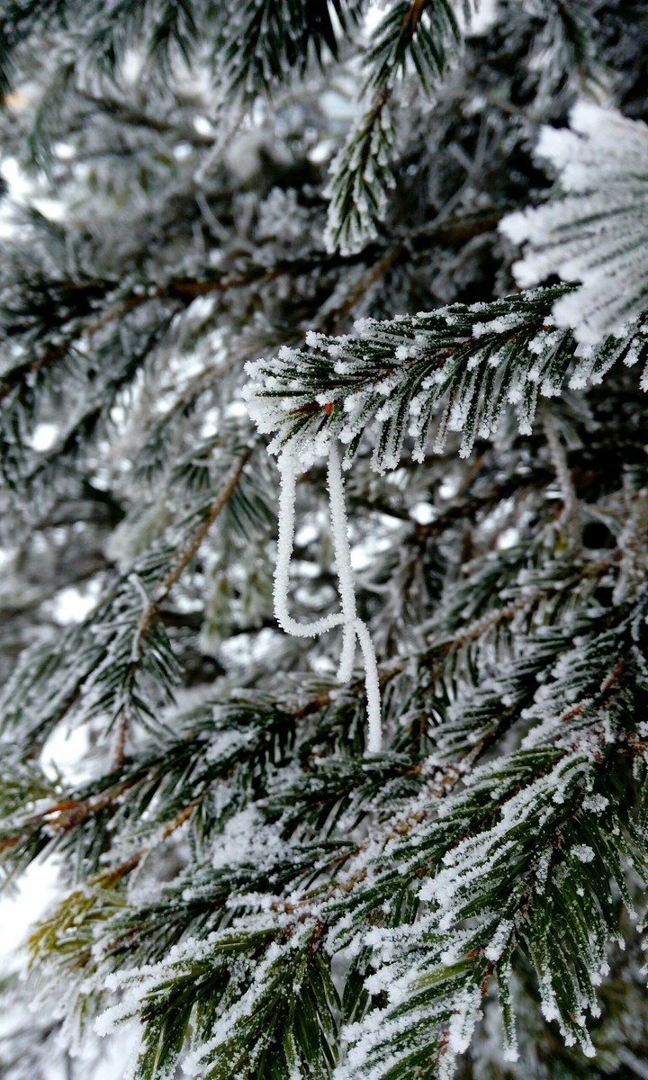 Belarusian winter