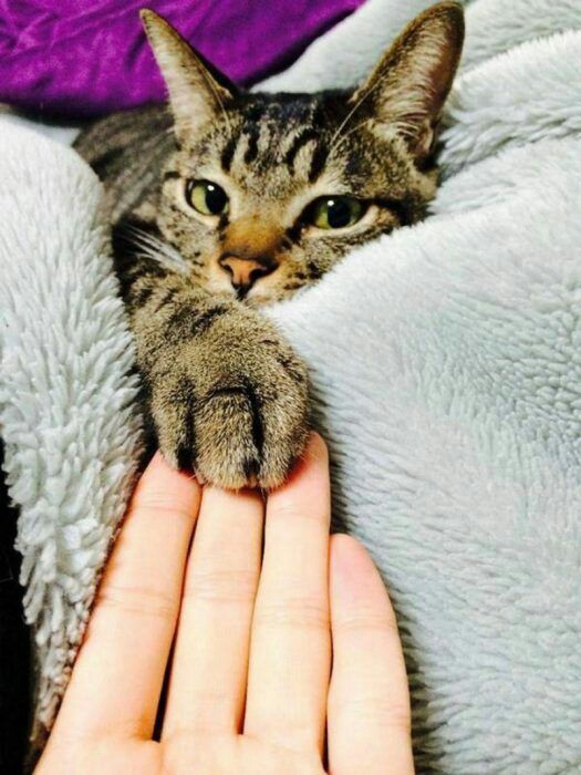 ❤❤❤