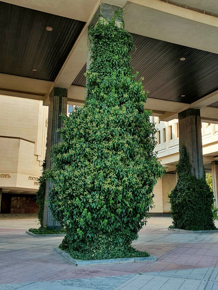 trees
