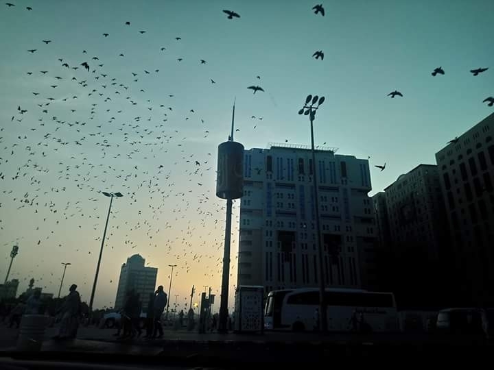 madina monawara