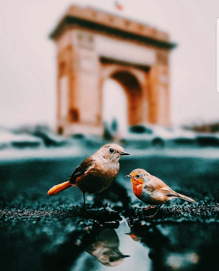 Beautiful india