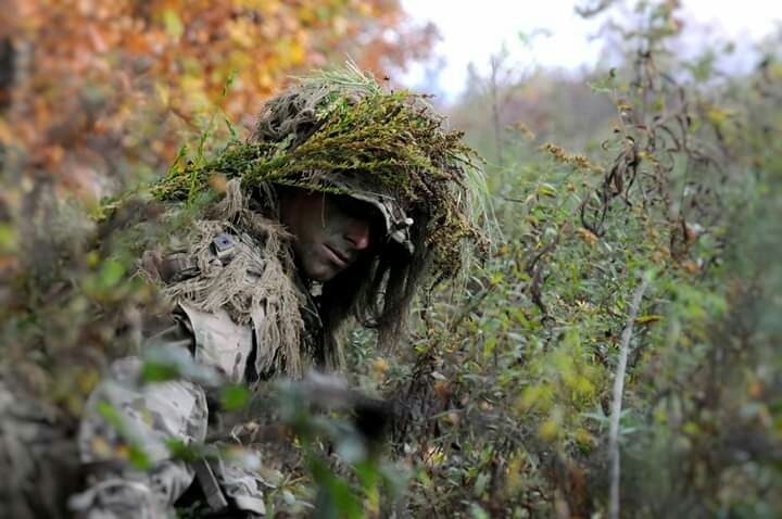 Blending in.. 