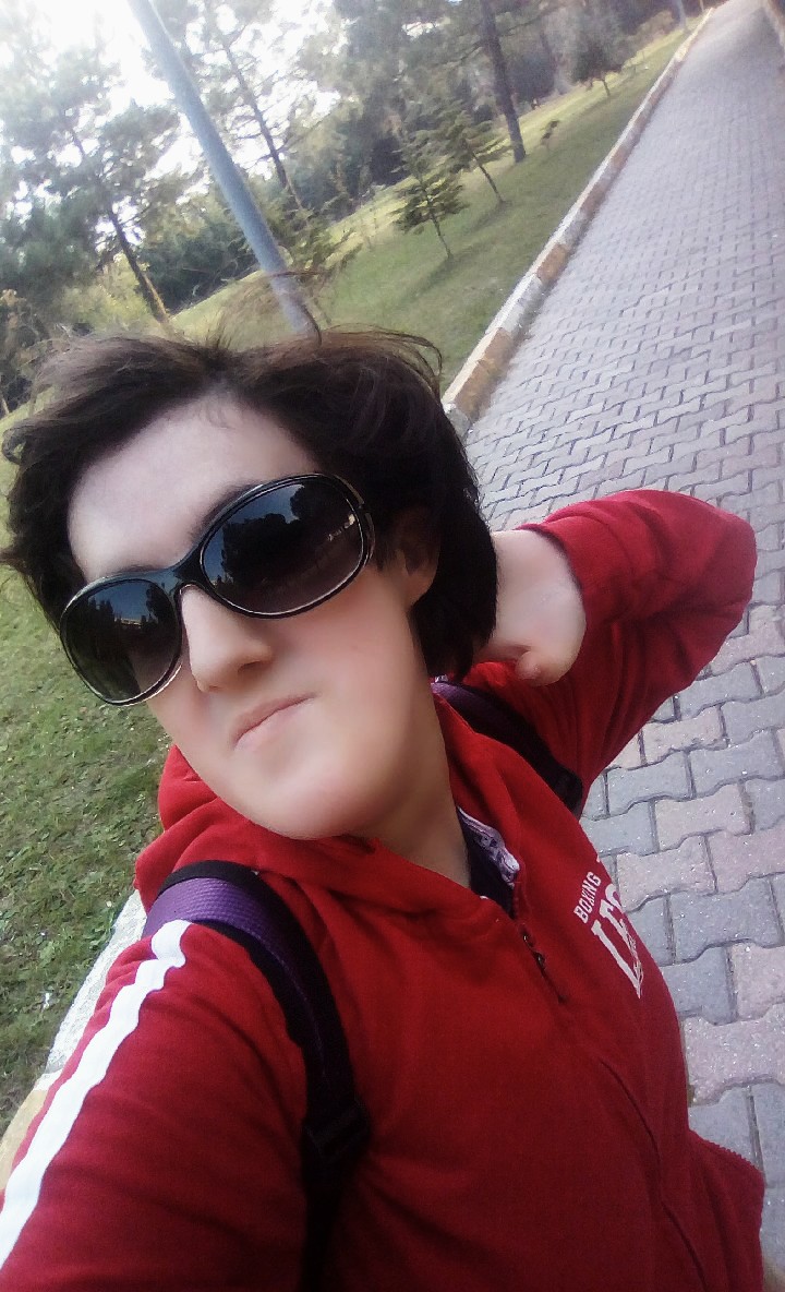isjsle