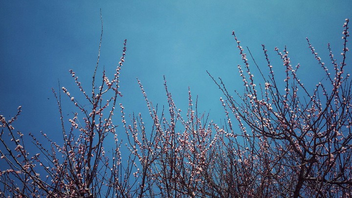 Spring