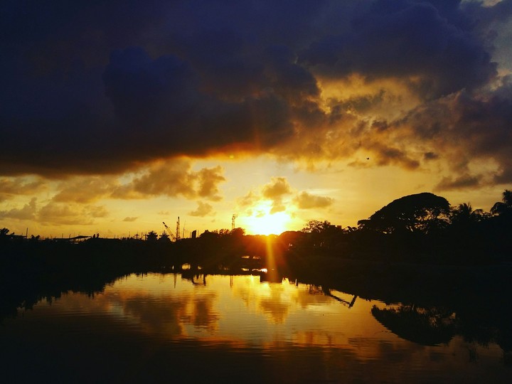 evening nature