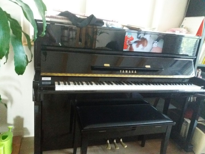 피아노 piano