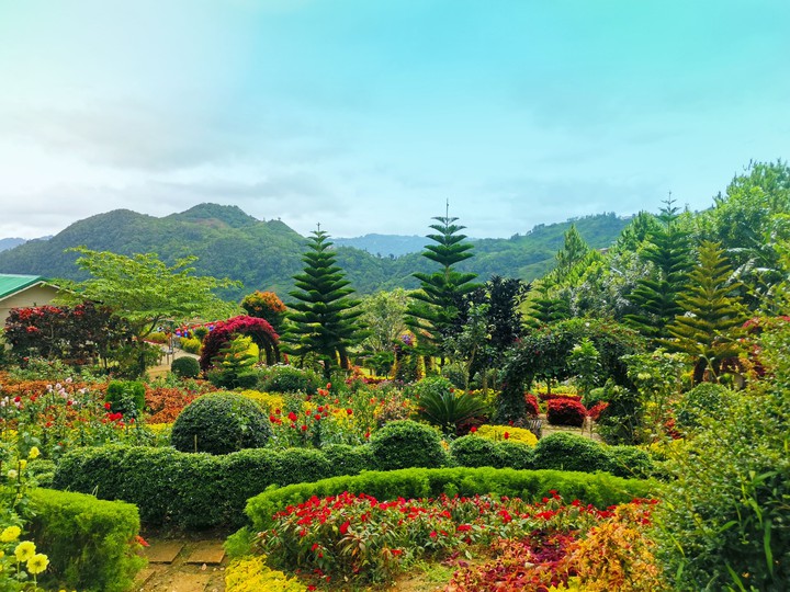 garden