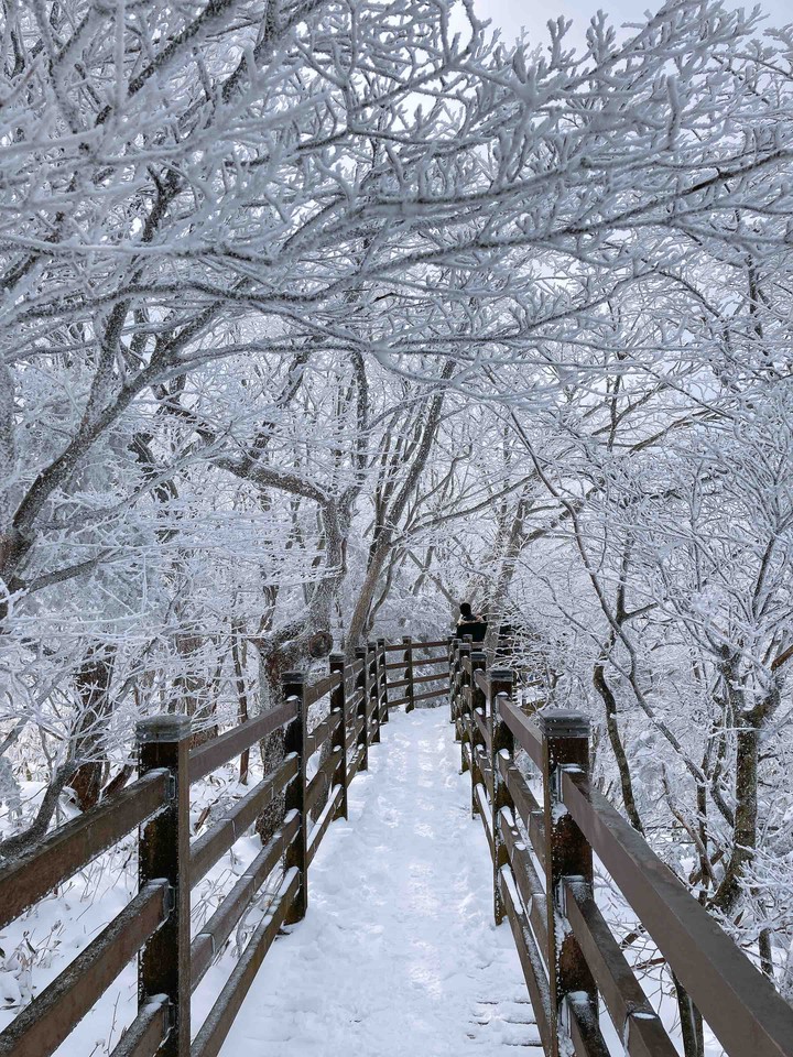 snow