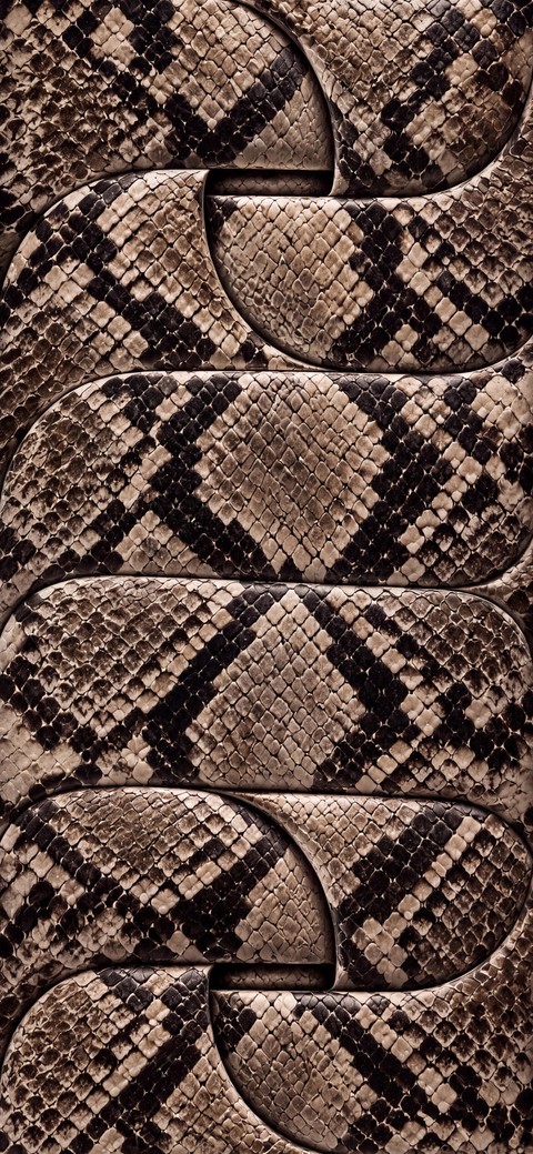 serpent, snakes वॉलपेपर