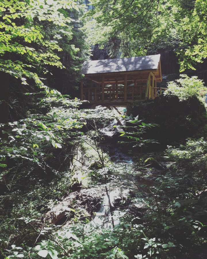 Mountain caban
