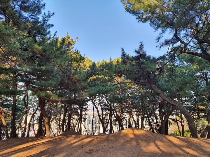 자연