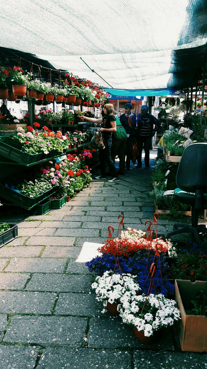 Flower market 