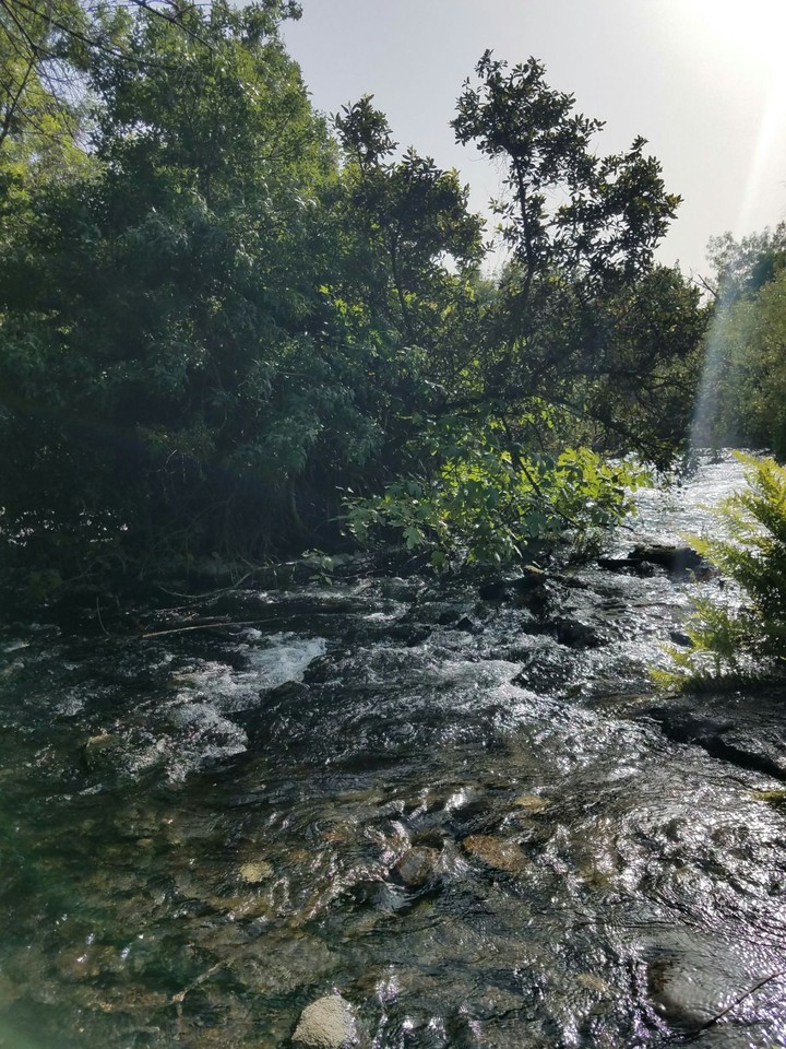nature