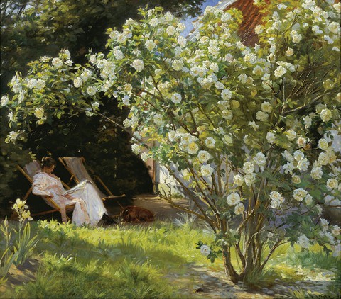 plant, landscape壁纸