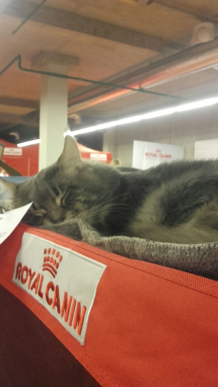 Zzzzzz...
