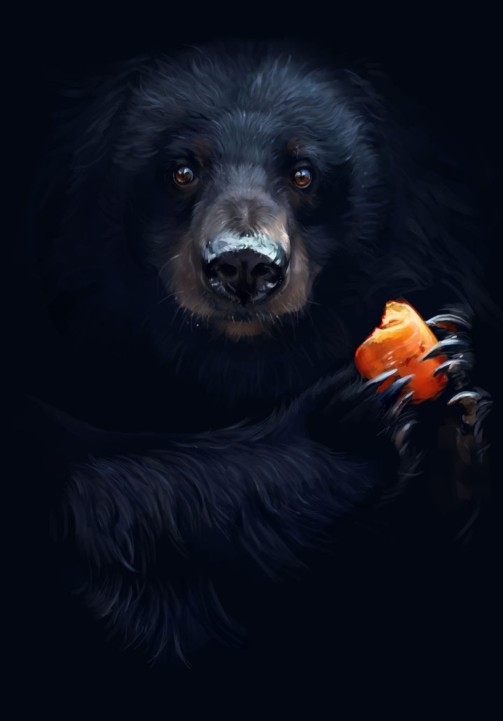 Bear