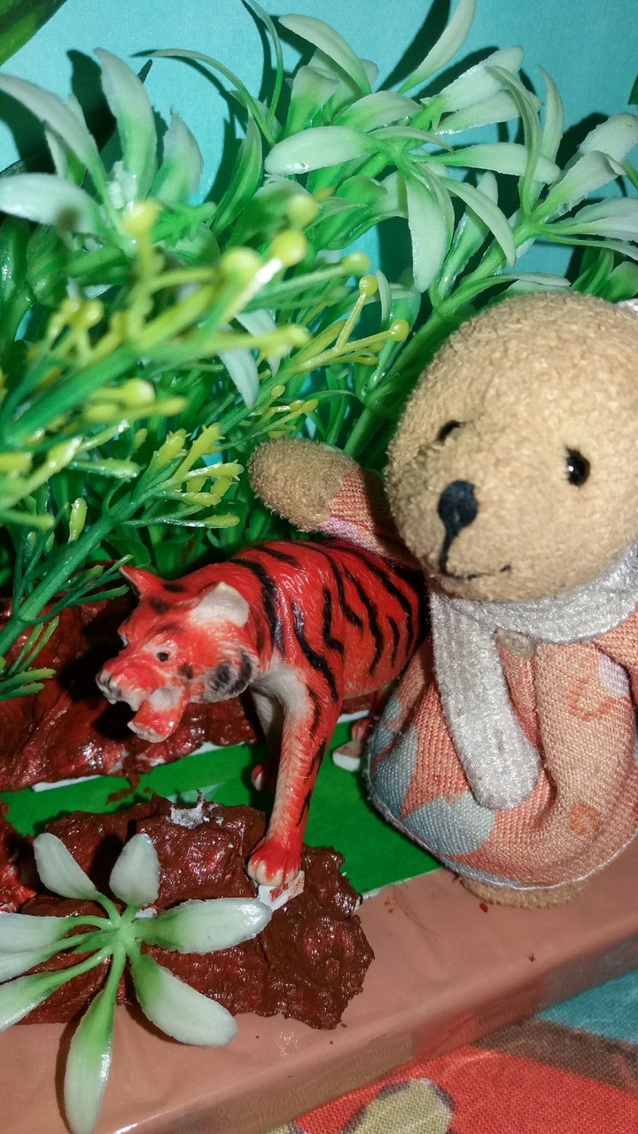 Tiger n Teddy