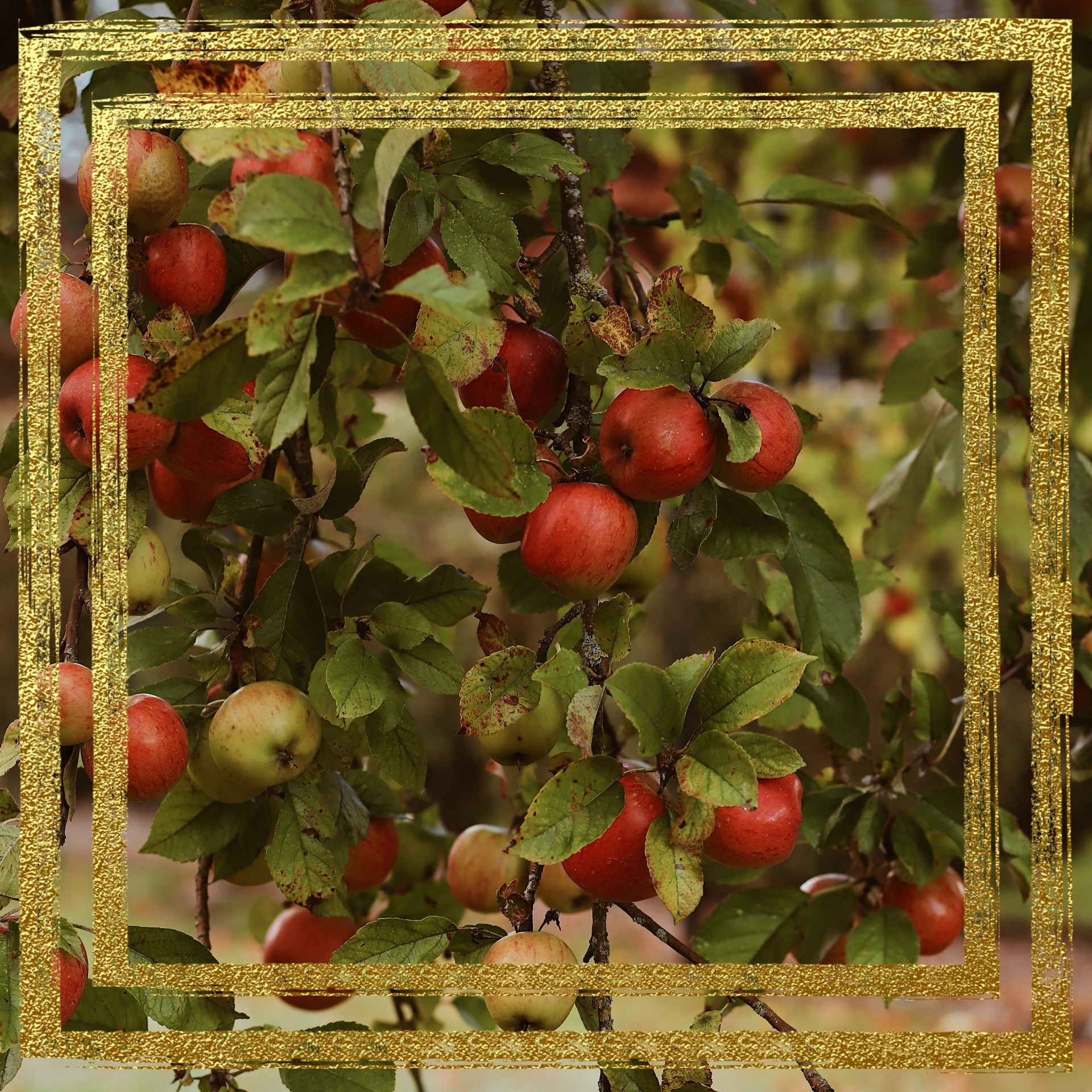Applesart