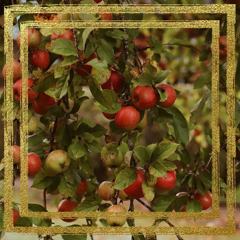 Applesart