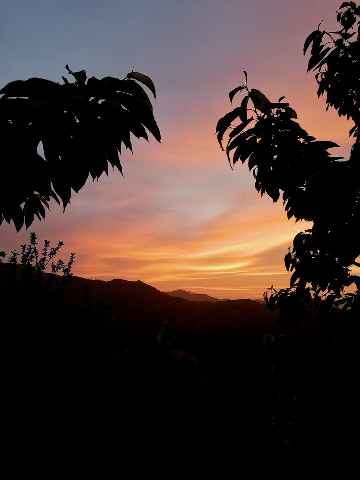sunset