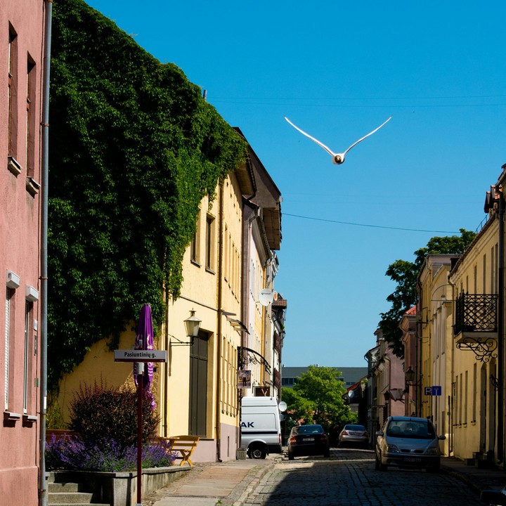 Street