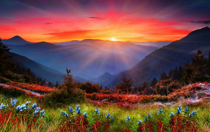Sunrise