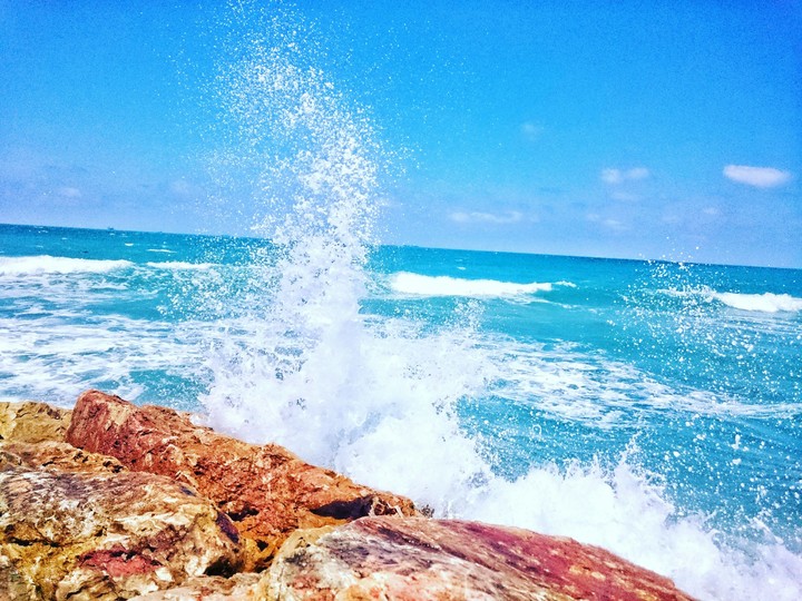 wave like life