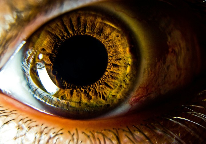 eye