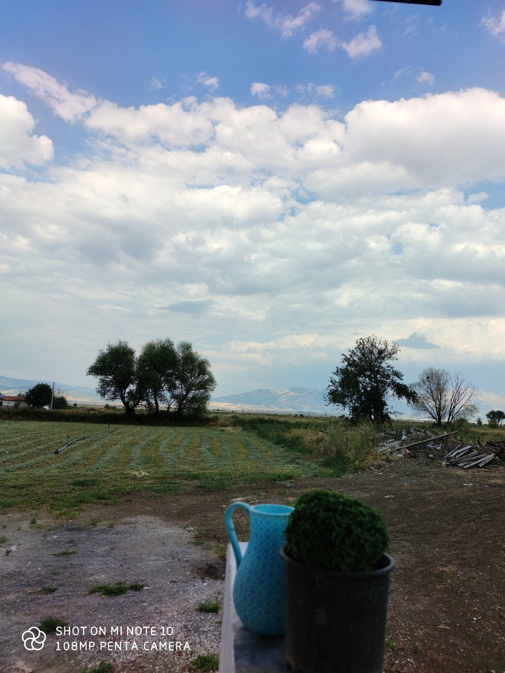 green the sky