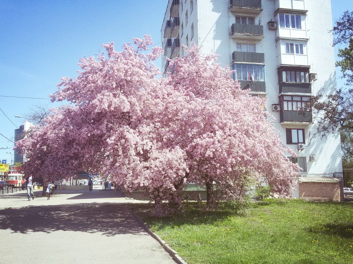 Весна 