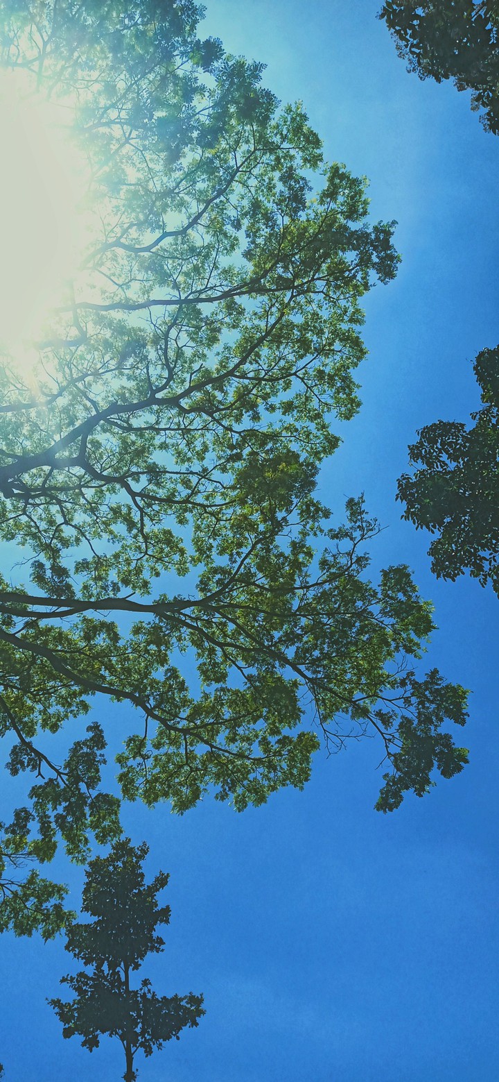 bluesky