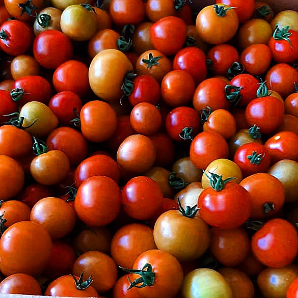 FRUIT