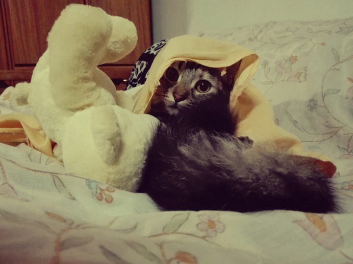 Oli ❤